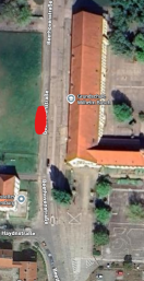 Foto: Wildwuchs Götterbaum engt Gehweg/Fahrradweg ein 